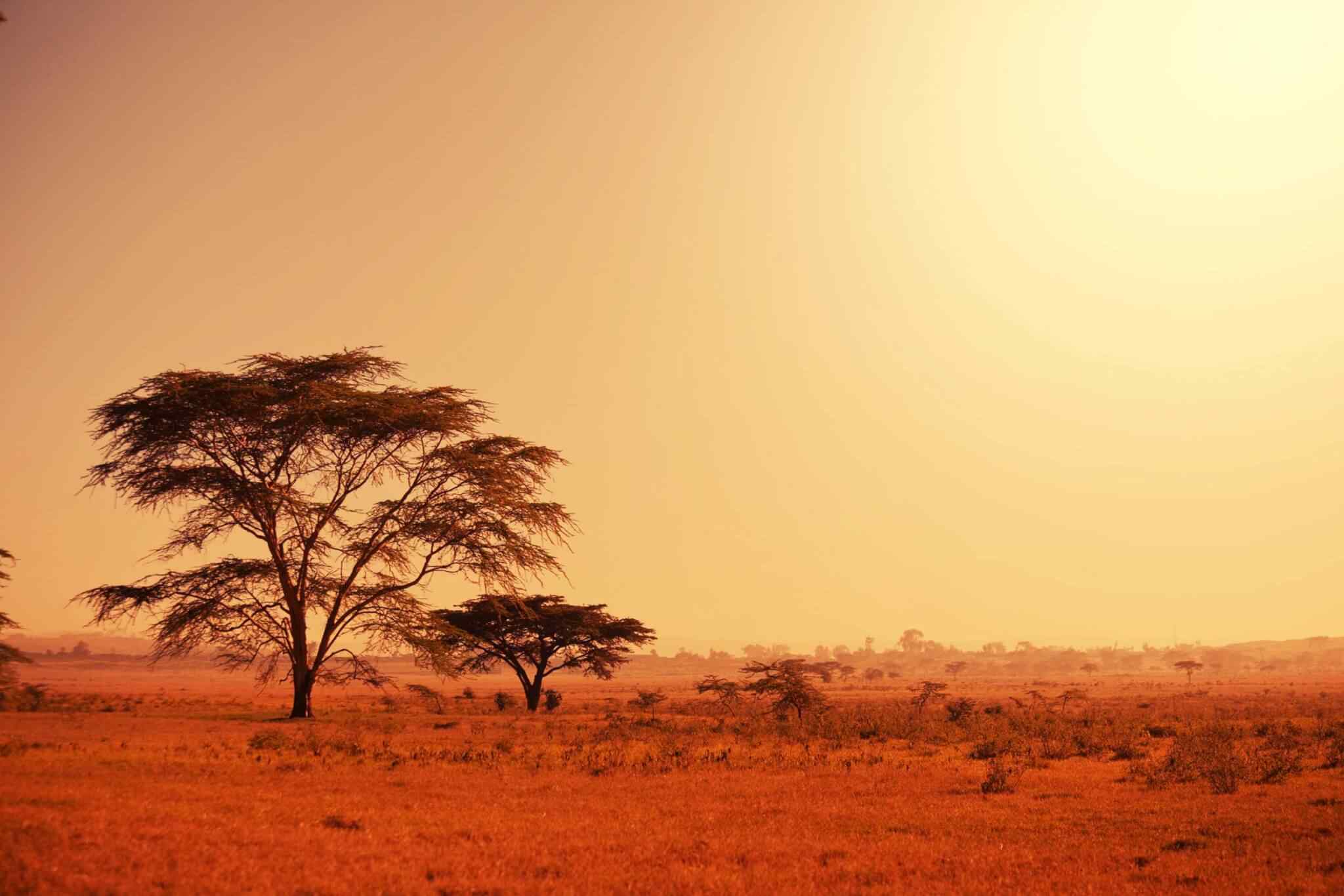 https://www.maremmaescursioni.it/wp-content/uploads/2018/09/tour-africa-02.jpg