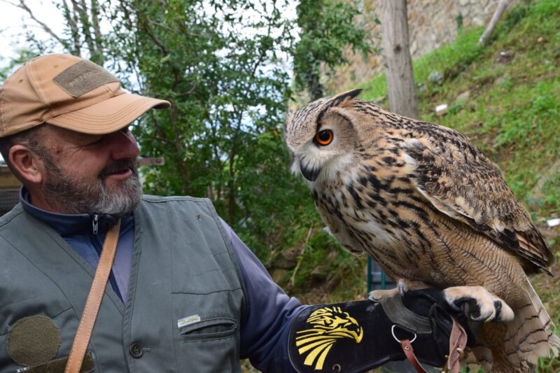 Falconiere per un giorno con Cena Maremmana