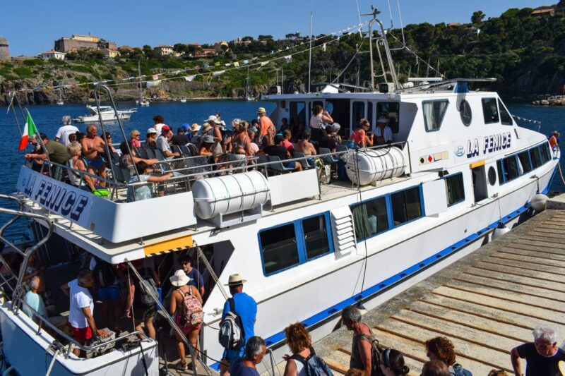 Isola del Giglio con opzione Giannutri da Talamone e Castiglione