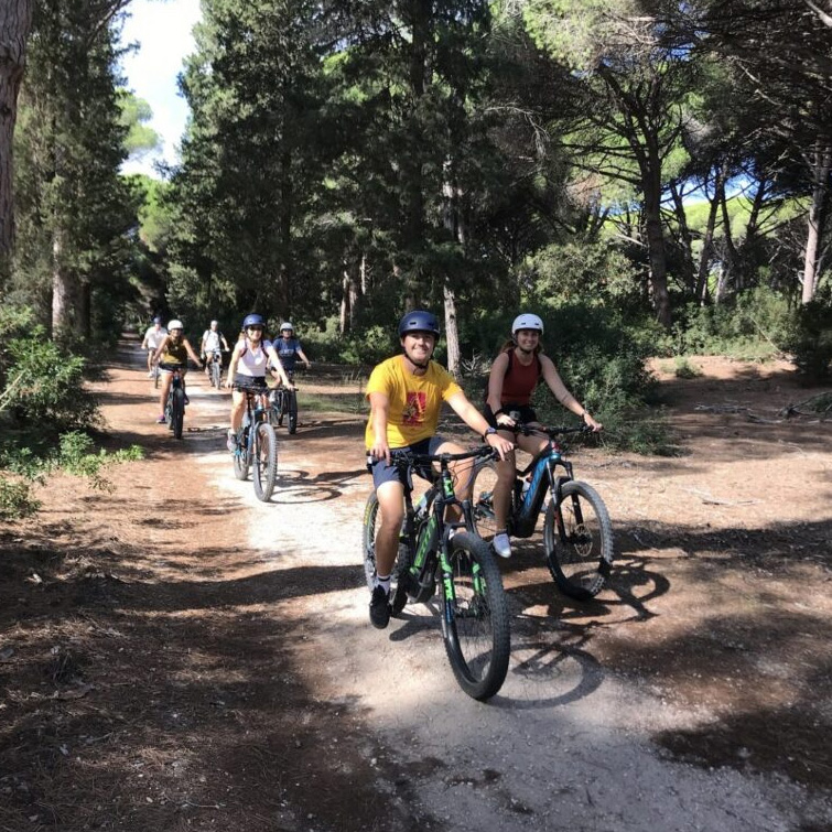 noleggio biciclette maremma