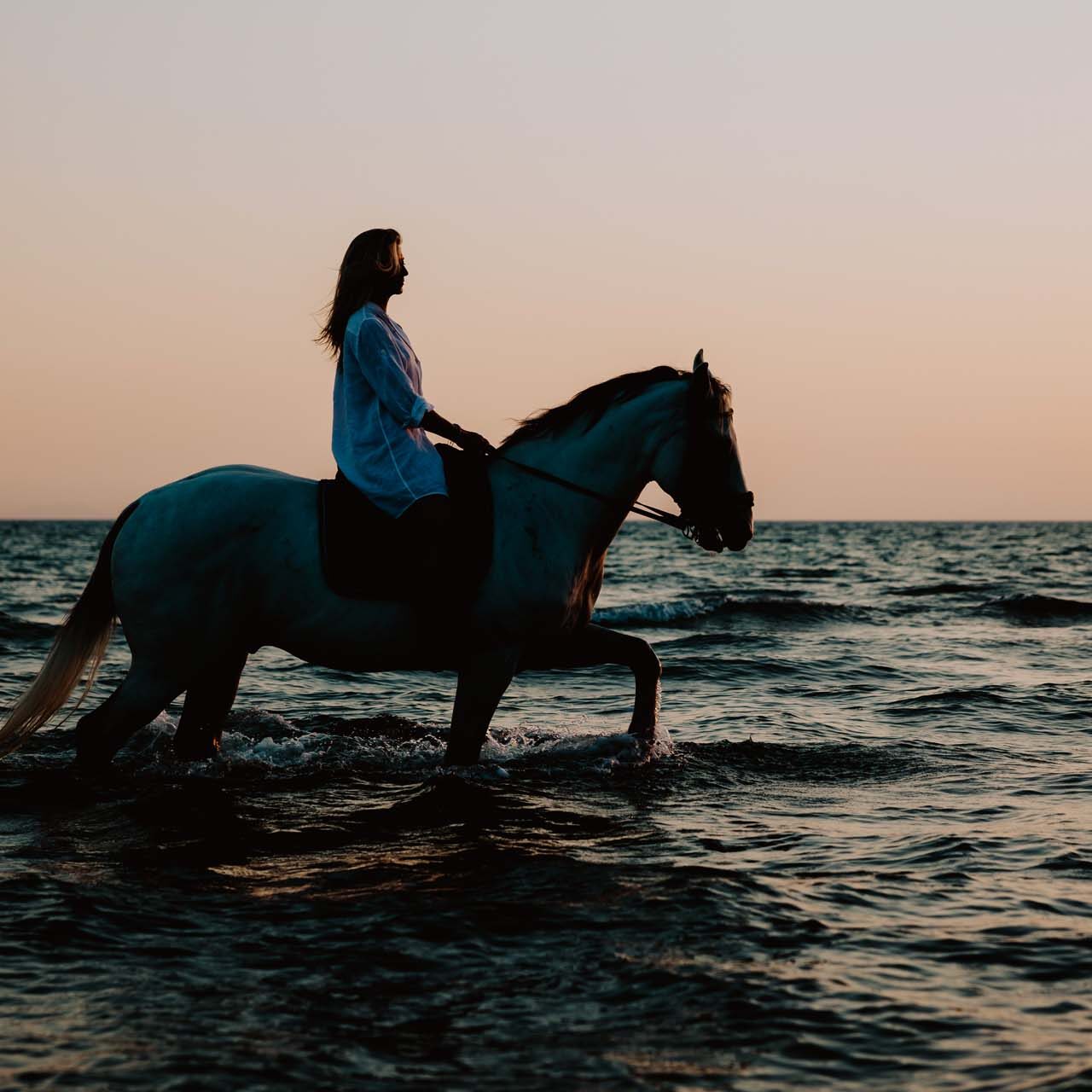 A Cavallo Pineta Dune e Spiaggia