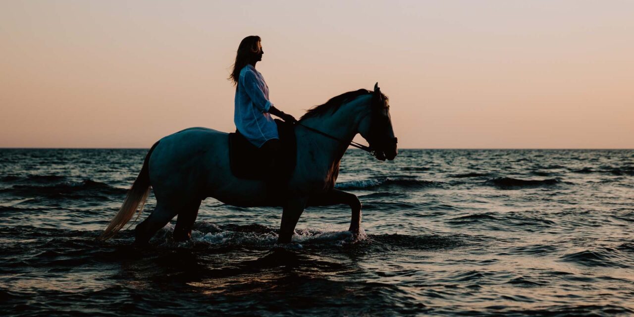 A Cavallo Pineta Dune e Spiaggia