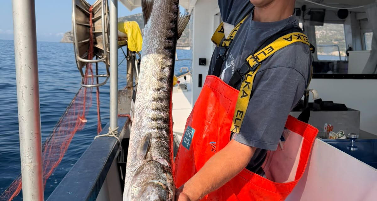 Pescaturismo all'Argentario Dal Mare al Piatto