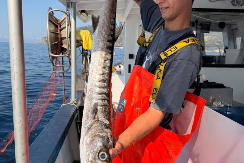 Pescaturismo all'Argentario Dal Mare al Piatto