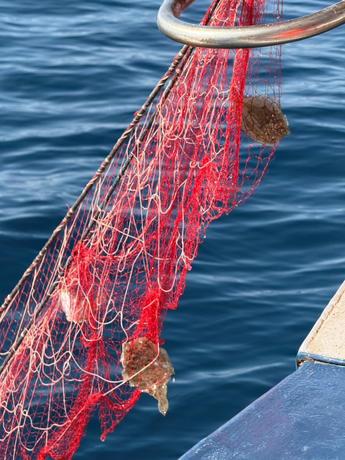 Pescaturismo Argentario 2