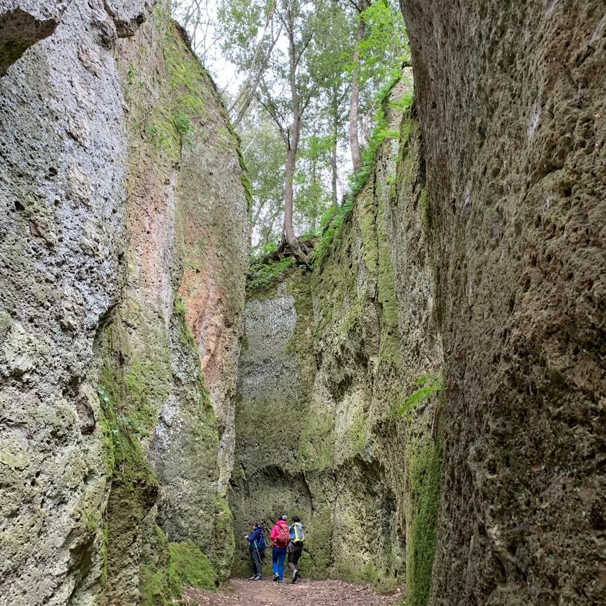 Vie Cave Pitigliano (2)