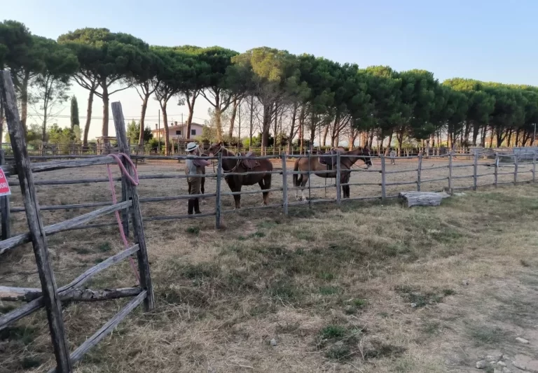 Buttero per un Giorno