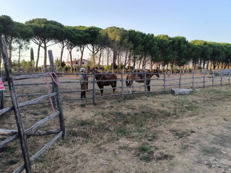 Buttero per un Giorno